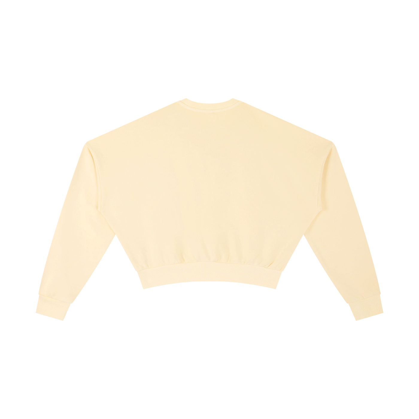 SK8 SPORT Women's Vintage Cropped Sweatshirt