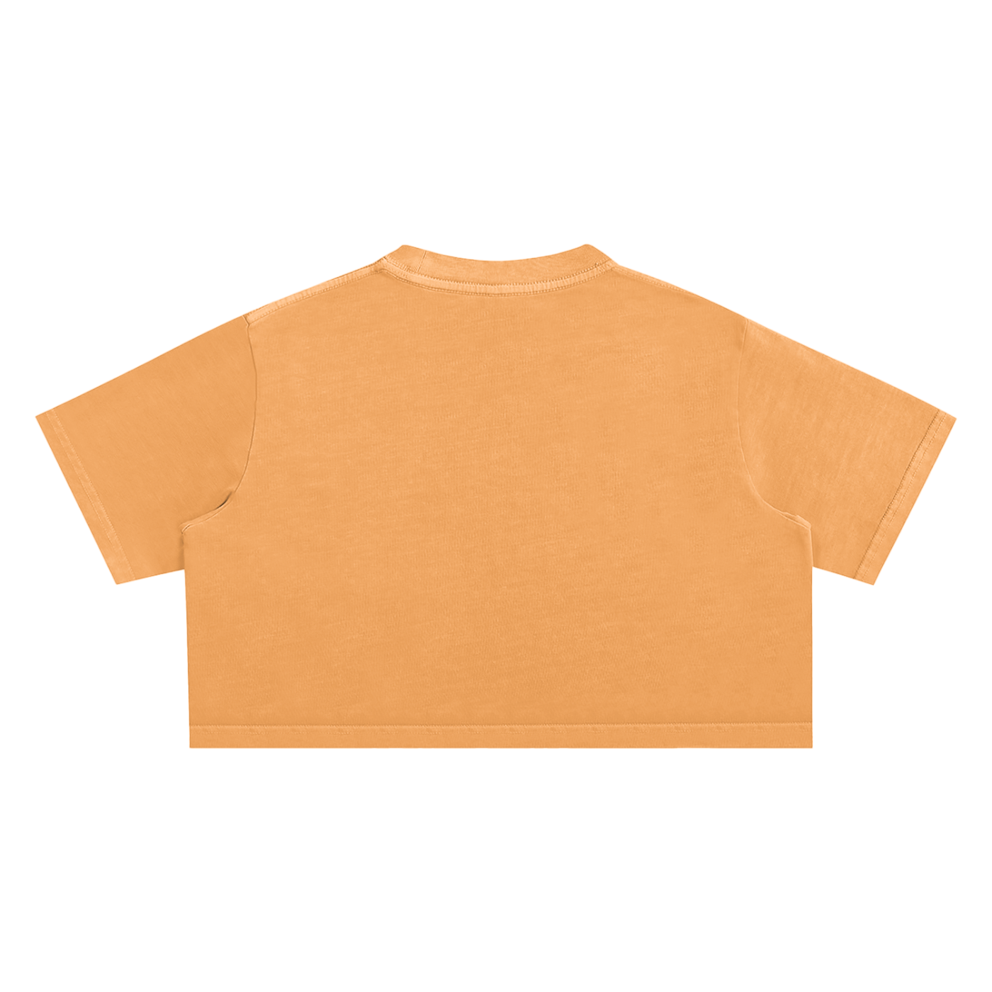 SK8 LAURENT' Crop Top